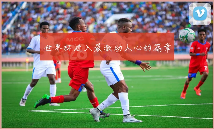 世界杯进入最激动人心的篇章