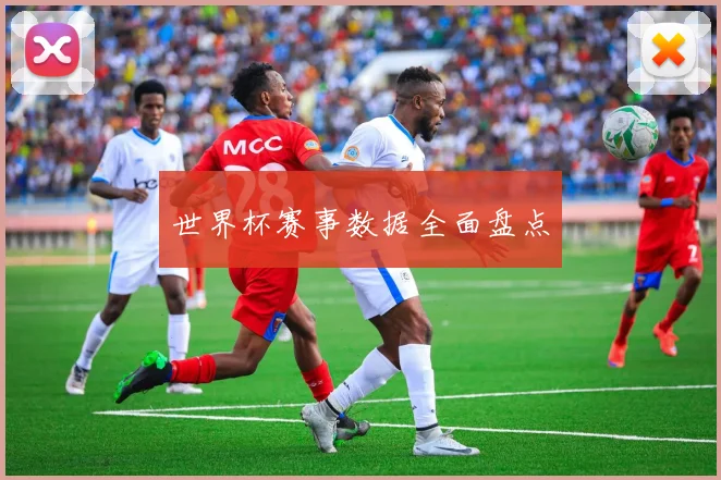 世界杯赛事数据全面盘点