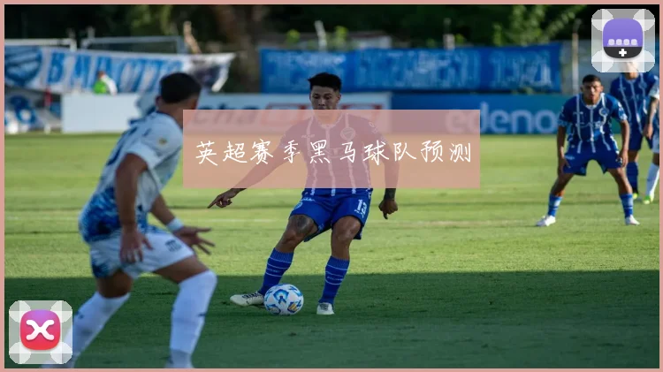 英超赛季黑马球队预测